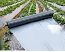 Mulching Fabric Rolls